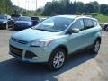2013 Escape SEL 1.6L EcoBoost 4WD #4 2013 Escape SEL 1.6L EcoBoost 4WD #4