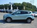 2013 Ford Escape Frosted Glass Metallic #5 2013 Ford Escape Frosted Glass Metallic #5