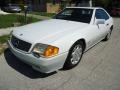 1992 SL 500 Roadster #36 1992 SL 500 Roadster #36