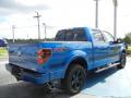 2012 Ford F150 Blue Flame Metallic #3 2012 Ford F150 Blue Flame Metallic #3