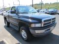 1996 Ram 1500 LT Regular Cab 4x4 #7