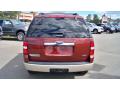 2010 Explorer Eddie Bauer 4x4 #6 2010 Explorer Eddie Bauer 4x4 #6