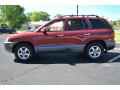 2002 Santa Fe LX #3