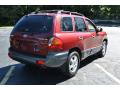 2002 Santa Fe LX #6