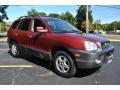 2002 Santa Fe LX #7