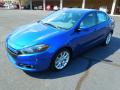 2013 Dart Rallye #2