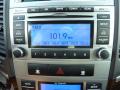 2010 Santa Fe Limited 4WD #19