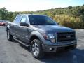 Front 3/4 View of 2013 Ford F150 FX4 SuperCrew 4x4 #2 Front 3/4 View of 2013 Ford F150 FX4 SuperCrew 4x4 #2