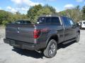 2013 Ford F150 Sterling Gray Metallic #8 2013 Ford F150 Sterling Gray Metallic #8