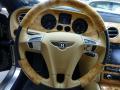  2008 Bentley Continental GT Speed Steering Wheel #17