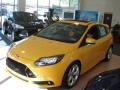 2013 Focus ST Hatchback #4 2013 Focus ST Hatchback #4