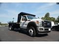 2012 F450 Super Duty XL Regular Cab Chassis 4x4 #3