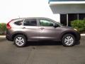  2013 Honda CR-V Urban Titanium Metallic #2