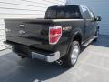 2013 F150 King Ranch SuperCrew 4x4 #3