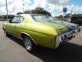  1971 Chevrolet Chevelle Antique Green #3