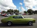  1971 Chevrolet Chevelle Antique Green #9