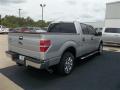 2013 F150 XLT SuperCrew #9