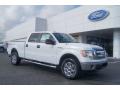 2013 F150 XLT SuperCrew 4x4 #1 2013 F150 XLT SuperCrew 4x4 #1