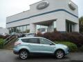 2013 Escape SEL 1.6L EcoBoost 4WD #1 2013 Escape SEL 1.6L EcoBoost 4WD #1