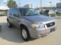 2007 Escape Limited 4WD #5