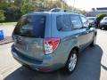 2010 Forester 2.5 X Premium #5