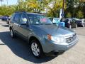 2010 Forester 2.5 X Premium #7