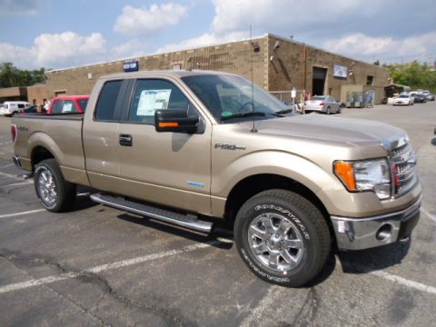 Pale Adobe Metallic Ford F150 XLT SuperCab 4x4.  Click to enlarge.