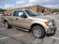  2013 Ford F150 Pale Adobe Metallic #1