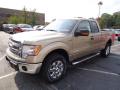 2013 F150 XLT SuperCab 4x4 #5