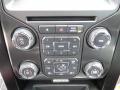 Controls of 2013 Ford F150 FX4 SuperCrew 4x4 #29