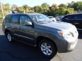 2013 GX 460 #4