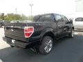 2013 F150 Limited SuperCrew 4x4 #10 2013 F150 Limited SuperCrew 4x4 #10