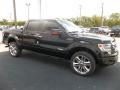 2013 Ford F150 Tuxedo Black Metallic #12 2013 Ford F150 Tuxedo Black Metallic #12