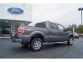 2013 F150 XLT SuperCrew 4x4 #3 2013 F150 XLT SuperCrew 4x4 #3