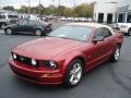 2006 Mustang GT Premium Convertible #3