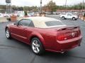 2006 Mustang GT Premium Convertible #5