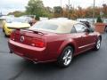 2006 Mustang GT Premium Convertible #7
