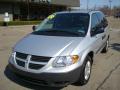 2006 Caravan SE #8