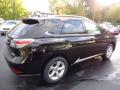 2013 RX 350 AWD #4