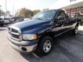 2002 Ram 1500 ST Regular Cab 4x4 #2 2002 Ram 1500 ST Regular Cab 4x4 #2