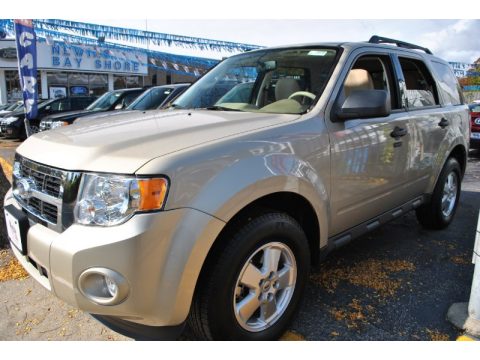 Gold Leaf Metallic Ford Escape XLT.  Click to enlarge.