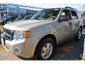 2012 Ford Escape XLT Gold Leaf Metallic 2012 Ford Escape XLT Gold Leaf Metallic