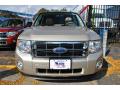 2012 Escape XLT #2