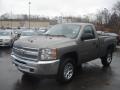 2013 Silverado 1500 LS Regular Cab 4x4 #4