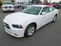2013 Dodge Charger SE