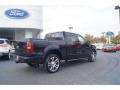 2007 F150 Harley-Davidson SuperCrew #3 2007 F150 Harley-Davidson SuperCrew #3