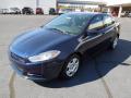 2013 Dart SE #2 2013 Dart SE #2