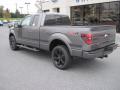  2013 Ford F150 Sterling Gray Metallic #3