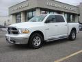 2010 Ram 1500 SLT Crew Cab 4x4 #2