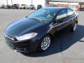 2013 Dart Limited #2